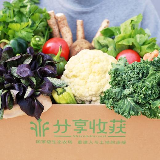 石嫣农场有机蔬菜份额 商品图3