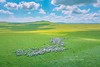 锡林郭勒乌拉盖草原-西乌旗白马-乌兰哈达火山-上都湖-达达线-99号公路-阿斯哈图石林- 金山岭长城9天摄影团 商品缩略图1