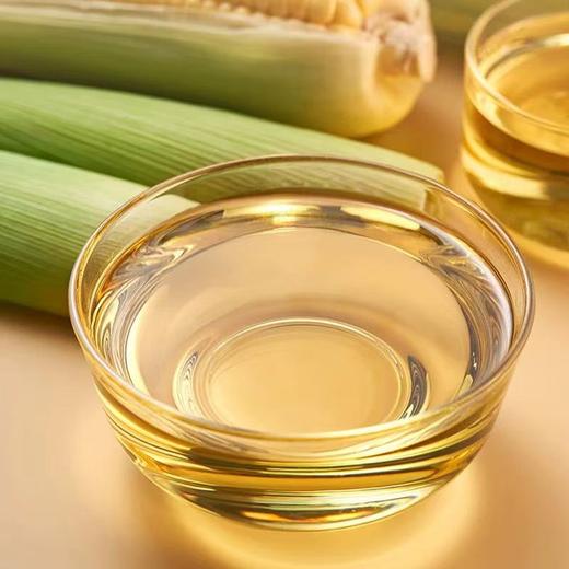 长寿花压榨玉米油700ml*1桶非转基因物理压榨一级食用油烘焙油植物油 商品图1