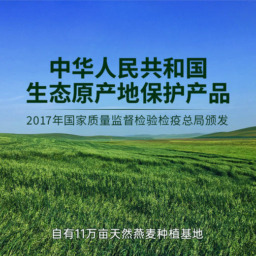 【同行精选】蒙北燕麦片280g/700g  颗粒饱满  片片清香 商品图5