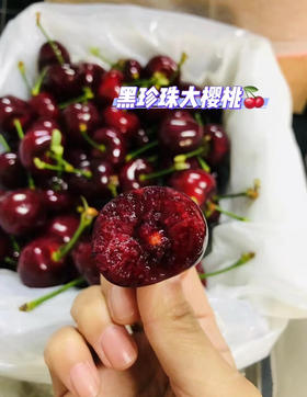 ✈️顺丰包邮到家【大连黑珍珠樱桃】好吃的樱桃不在市场而在树梢，我们现摘现发，给你想要的新鲜！只有一茬果，卖完就没了，口感脆甜，单果11克左右