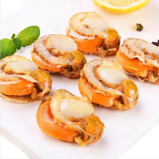 【SF】  扇贝肉 5kg 商品图1