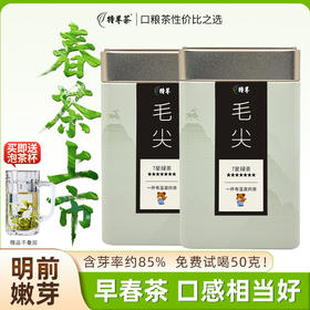 2026新茶 7星毛尖绿茶明前春茶嫩芽125g*2罐