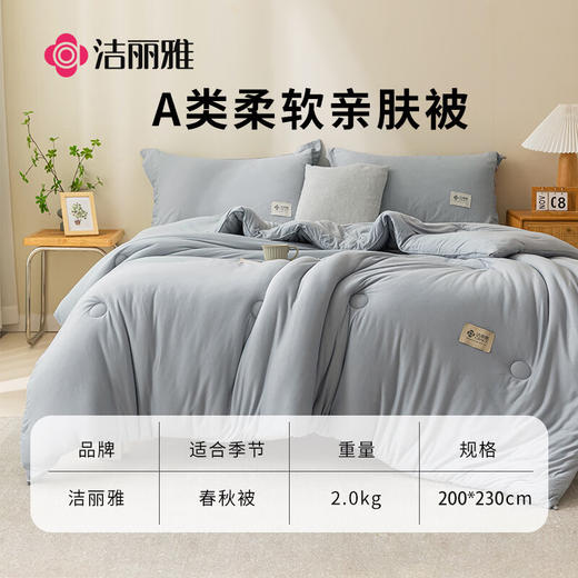 洁丽雅（Grace)岚烟.柔软亲肤四季被 商品图3