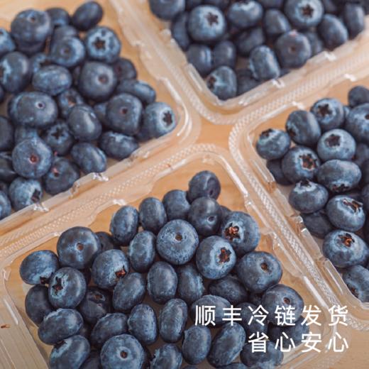 艾格吃饱了花香脆甜蓝莓4盒装 商品图4