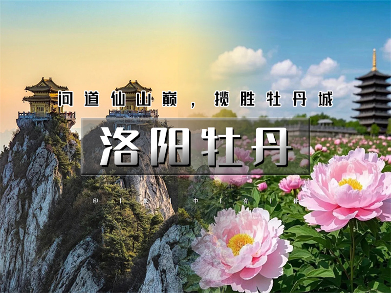 【洛阳牡丹2日】洛阳牡丹甲天下の老君山日落+夜景-洛邑古城-白马寺-龙门石窟