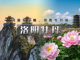 【洛阳牡丹2日】洛阳牡丹甲天下の老君山日落+夜景-洛邑古城-白马寺-龙门石窟