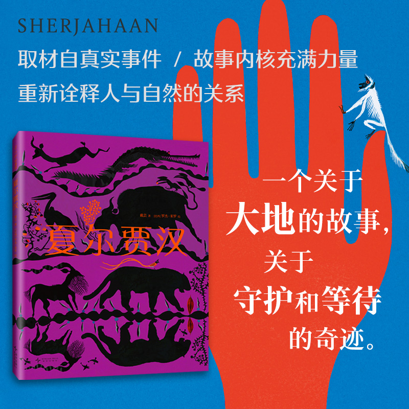 夏尔贾汉 戴芸新作