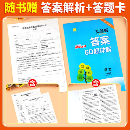 2026实验班提优大考卷下册小学单元期末培优练习人教 商品图4