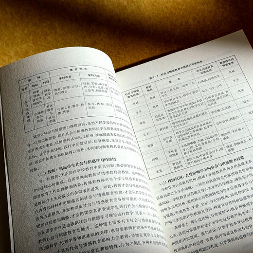 全环境情感场 中小学社会与情感能力培育新模式 创新育人模式 培养学生的社会与情感能力 商品图9