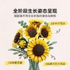 【店庆提前购】8楼 乐高  乐高新品11502 向日葵花束 吊牌价529元 商品缩略图2