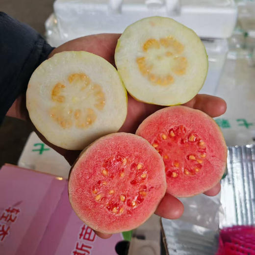 奶油 芭乐 闻着就想吃的芭乐，草莓奶油  配酸梅粉 无敌香 19.9/件 商品图1