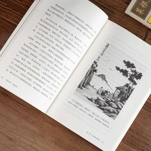 丰子恺：菜根更香，豆腐更肥（在一蔬一饭间，咀嚼人生的真味） 商品图4