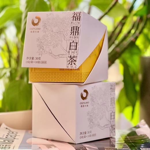 福鼎白茶 一盏好茶 老白茶 便携 商品图4