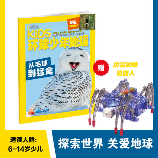 环球少年地理2026年新刊 商品图0