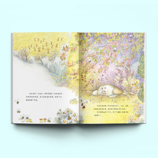 《世界经典童话 名绘精选版》（全10册） 商品图2