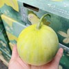 小甜国 马连庄甜瓜（约3斤，5个装） 商品缩略图3