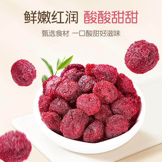 孕味食足杨梅干缓解孕吐小零食 120g/袋 商品图1
