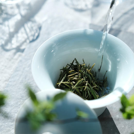 云曼｜2026年安吉白 商品图4