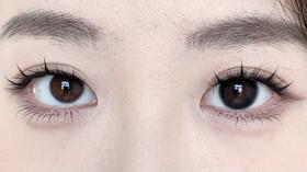 Laseecon日抛美瞳 黑糖肉包 14.5mm