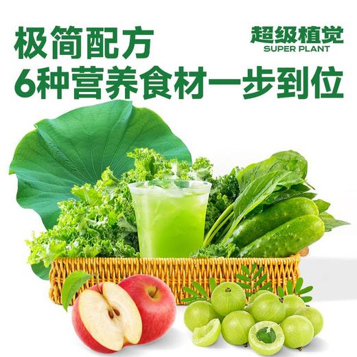 超级植觉羽衣甘蓝油柑饮900g 商品图3