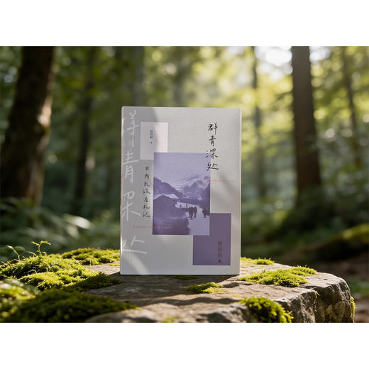 群青深处：日内瓦旅居札记（从战火中东到日内瓦湖畔，战地记者的十年驻外笔记。） 商品图3