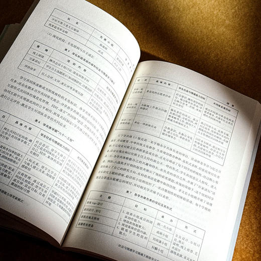 全环境情感场 中小学社会与情感能力培育新模式 创新育人模式 培养学生的社会与情感能力 商品图12