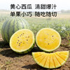 【广东"小兰"黄瓤西瓜】籽少 + 倍甜 + 薄皮 + 多汁 瓜香浓郁 | 顺丰直发DB 商品缩略图2