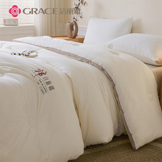 洁丽雅（Grace)棉记.立体新疆棉花四季被JLY25902 商品图3