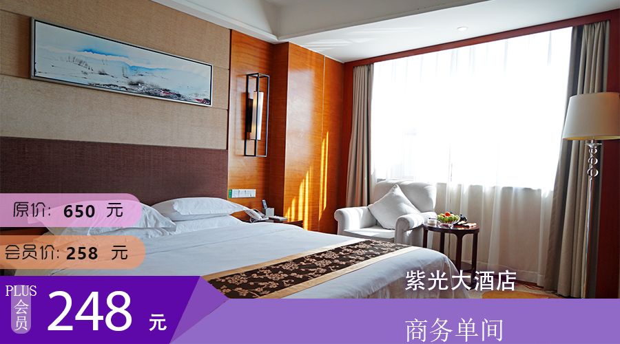 昭通紫光大酒店 商务单间