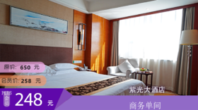 昭通紫光大酒店 商务单间