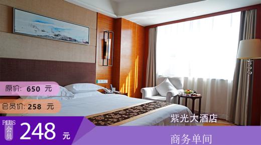 昭通紫光大酒店 商务单间 商品图0