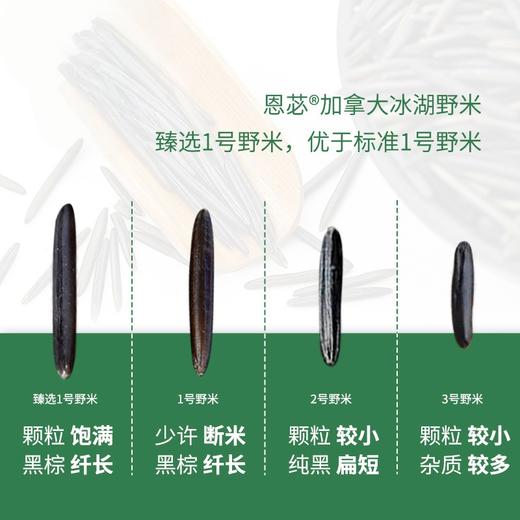 谷物中的“鱼子酱” 加拿大冰湖野米 纯野生 富含稀有微量元素 高蛋白 低GI  正关进口 |百里食 商品图3