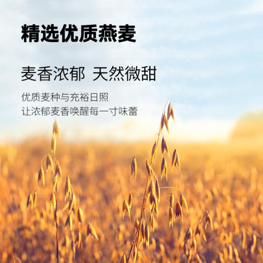 【非常麦&晶花】浓醇燕麦奶 1L/盒*6盒（品牌直发） 商品图3