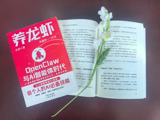 养龙虾：OpenClaw与AI智能体时代 商品图2
