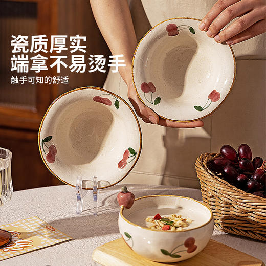 摩登主妇复古酸奶碗餐具沙拉碗水果甜品碗家用2026新款漂亮的饭碗 商品图2