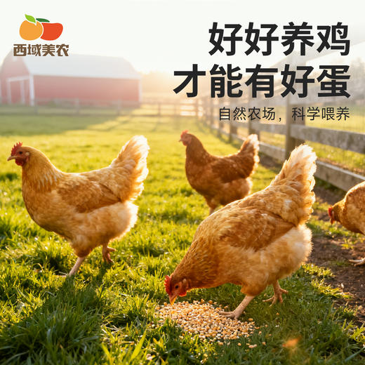 西域美农  omega-3 可生食无抗鲜鸡蛋30枚装  京东发货 商品图5