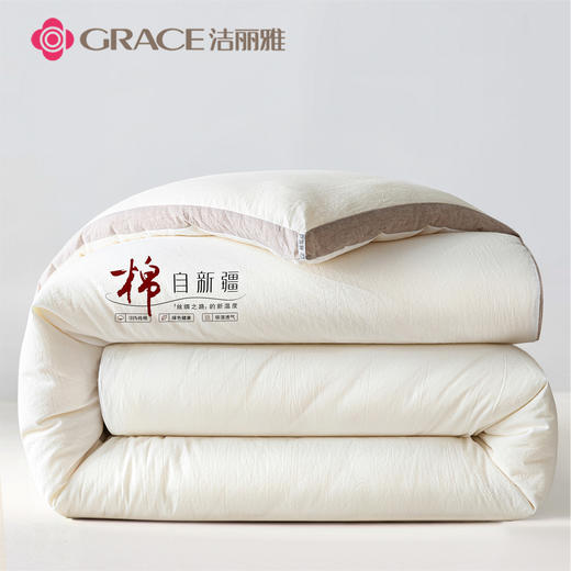 洁丽雅（Grace)棉记.立体新疆棉花四季被JLY25902 商品图1