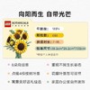 【店庆提前购】8楼 乐高  乐高新品11502 向日葵花束 吊牌价529元 商品缩略图3