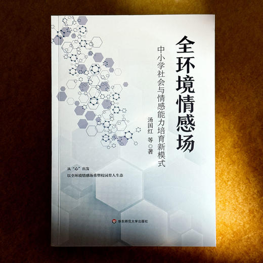 全环境情感场 中小学社会与情感能力培育新模式 创新育人模式 培养学生的社会与情感能力 商品图1
