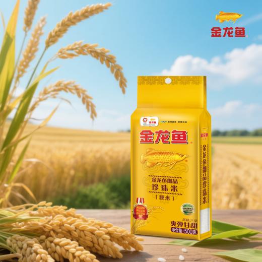 【节日礼盒】金龙鱼 迎客天下粮油大礼包A款 商品图2