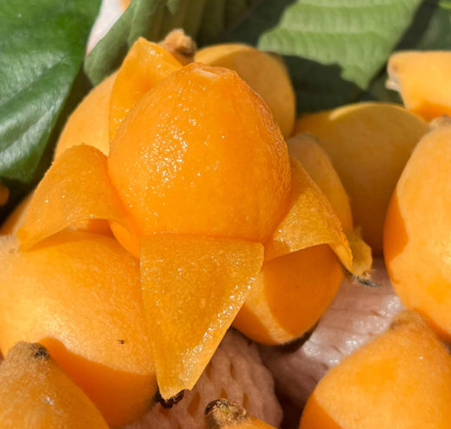 高山枇杷 340g/盒