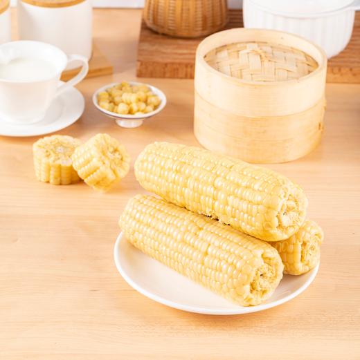 【蒙粮农老头】有机白糯玉米 内蒙沙土地 只有够新鲜 才有玉米味 非速冻 非转基因 商品图4