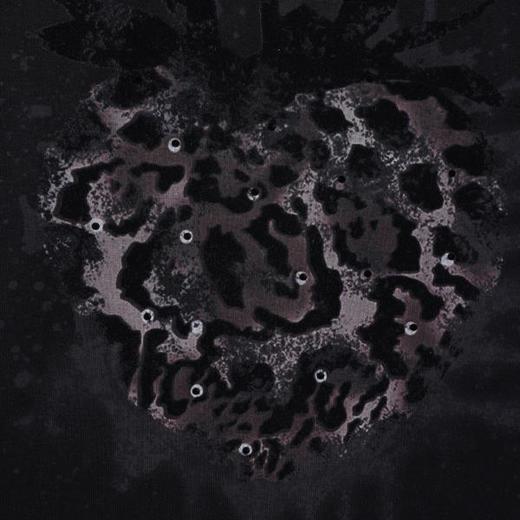 T68502SDSA男装2026新款高贵轻奢潮牌豹纹草莓泼墨短袖T恤时尚百搭上衣 商品图4