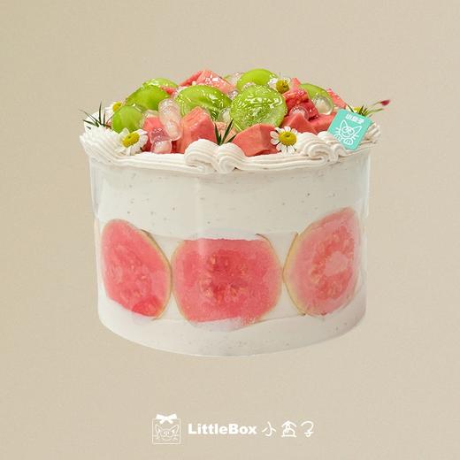 青提芭乐 | 小盒子 商品图0