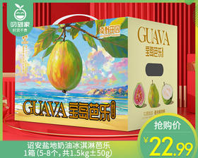 诏安盐地奶油冰淇淋芭乐/1箱（5-8个，共1.5kg±50g）