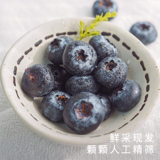 艾格吃饱了花香脆甜蓝莓4盒装 商品图3