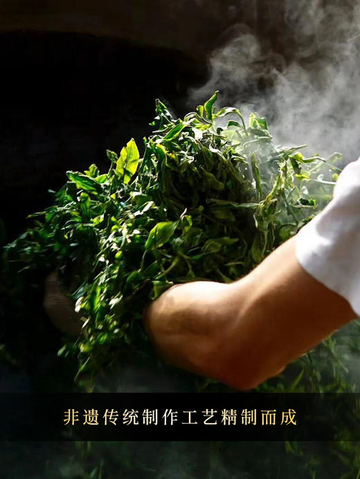 【名额过半！】【细叶王子】2026年春茶预售后山麓王子片区贡茶传奇：一叶难求的极致奢品 品细叶王子，享帝王口福：一汤入口，细腻之中见真质500克/团 8团/件 商品图8