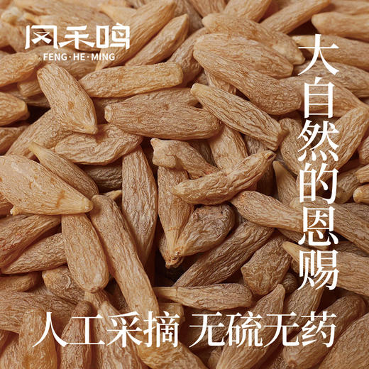 麦冬250g罐装精选优质中药材滋补养生必备 商品图3