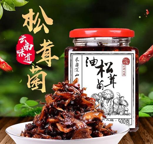 云南特产滇园鸡枞菌/牛肝菌/松茸菌,多种规格可选500g/瓶 商品图2